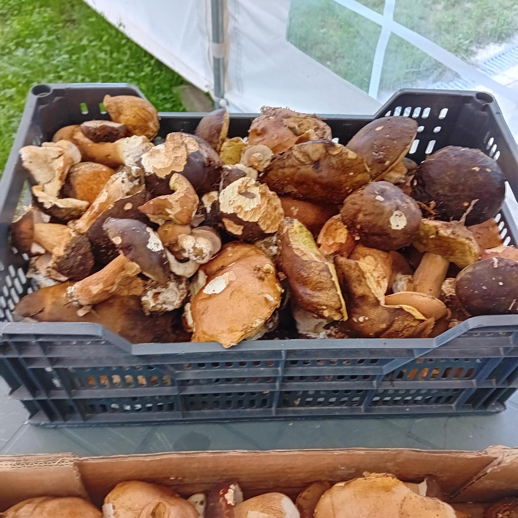 Clos A Malypense Chez Mr Montamat Galan 외부 사진